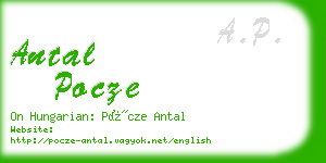 antal pocze business card